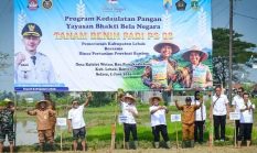 berita-pilihan-foto